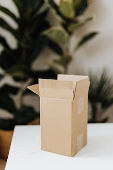 An open cardboard box on a white surface with plants in the background indoors.